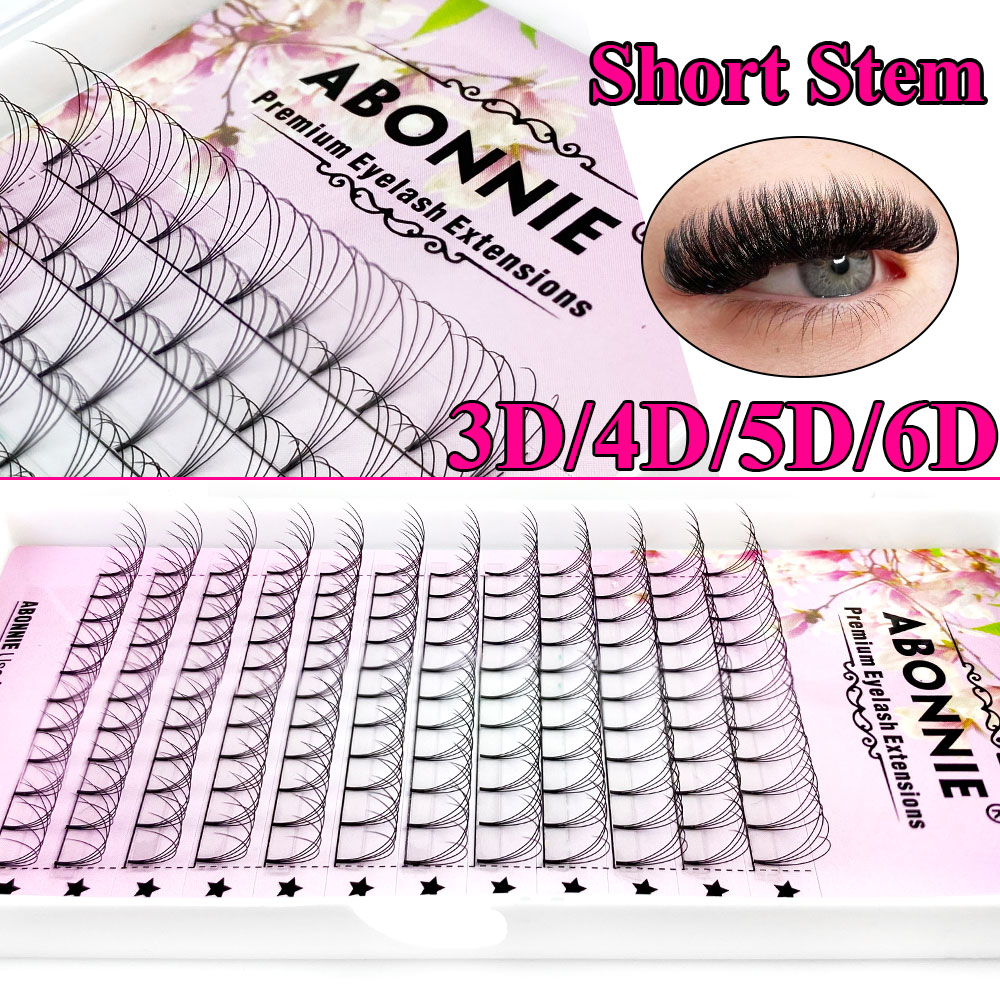 Abonnie 6D Narrow Fan Premade  - Eyelash Extension For Asian Eyes ulasan dan harga